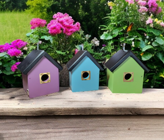 Traditional Bird House