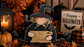 Witch Shelf Sitter