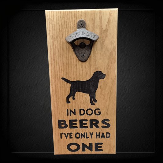 Wall Mounted Bottle Opener